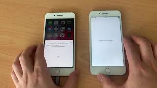iPhone to iPhone Direct Data Transfer Cable