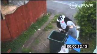 Purr-fect Revenge