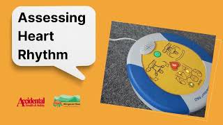 Wingecarribee Shire Council's Defibrillator Training