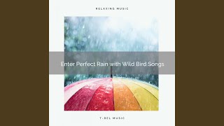 In the Lands of Perfect Rainforest with Wilderness Sounds pt. 3 - Nature and Rain