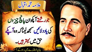 A Great Relationship Will Always Teach You These 5 Things | Deep Quotes | Allama Iqbal Quotes