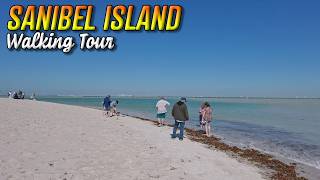 Sanibel Island | Lighthouse Beach Walk in 4K