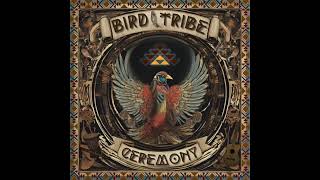 Spanish Jam (Live) - Bird Tribe