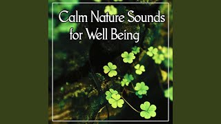 Yoga Songs - Echoes of Nature, Relaxing Music Therapy