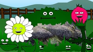 The Nature Song