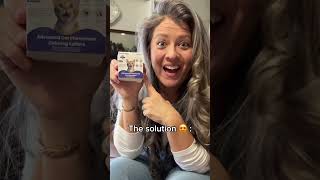 Gentle Paws - Wellness N Wellness