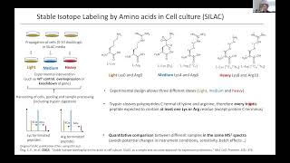 [TALK 20] Quantitative Proteomics and Omics Data Analysis &ndash; Holger Kramer