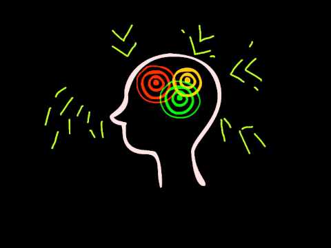 A Brief Introduction to the Default Mode Network