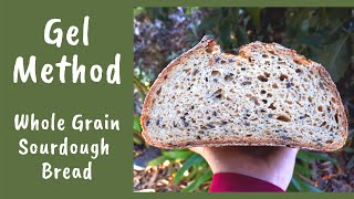 Gel Method for Whole Grain Sourdough Bread