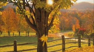 Tie a Yellow Ribbon Round the Ole Oak Tree - Friday Night At The Movies