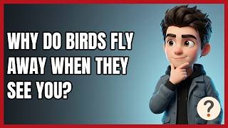 Why Do Birds Fly Away when They See You?