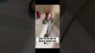 Shower - Harry Finger