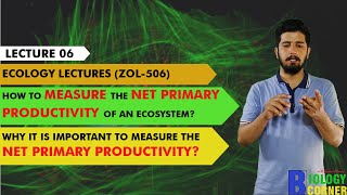 06 How to Measure the Net Primary Productivity (NPP) of an Ecosystem?