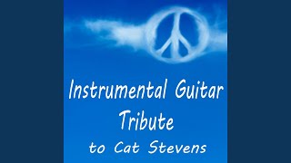 Can't Keep It In - Steve Petrunak