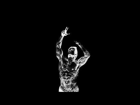 zyzz stereo love ~ hardstyle slowed + reverb