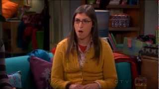 The Big Bang Theory 6x09 - Best insult ever