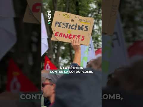 Est-ce que la p&eacute;tition immigration est vraiment comparable &agrave; la p&eacute;tition contre la loi Duplomb ?