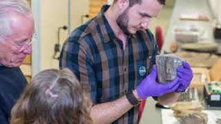 UK giant ichthyosaur is one of the largest animals ever