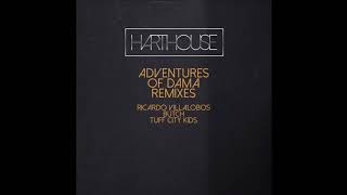 Adventures of Dama (Tuff City Kids Music Hall Mix) - Cybordelics