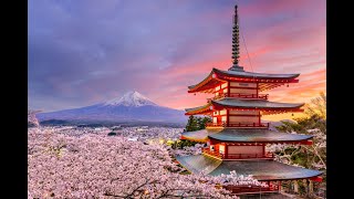 TOP 10 Largest Japanese Companies by Market Cap