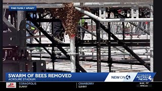 Bees swarm removed from Acrisure Stadium stage scaffolding ahead of Morgan Wallen concerts