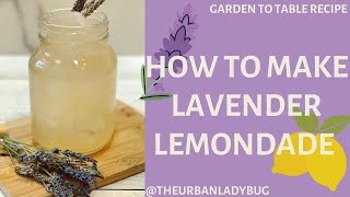 How To Make Lavender Lemonade | Garden To Table | The Urban Lady Bug