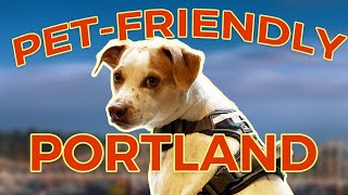 Dog Friendly Food Spots in Portland Part 1   Where to Eat with Your Pup in Buckman