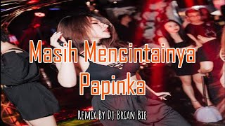 Masih Mencintainya - Papinka (Electro Manyao) By Dj Brian Bie #dj抖音版2024 #remixmanyao