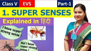 SUPER SENSES with हिंदी explanation NCERT Class 5 EVS Chapter 1 (Part1) | CBSE Class 5 EVS Chapter 1