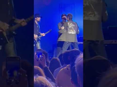 Perry Farrell Fights Dave Navarro Onstage