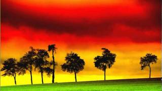 Am I Losing You - Cynthia Schloss