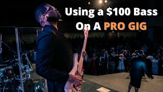 Are $100 Basses Worth It? | What is That