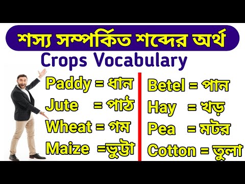 শস্য সম্পর্কিত শব্দের অর্থ। Crops Vocabulary. Crops Name. Types of Crop.9 Minute English.