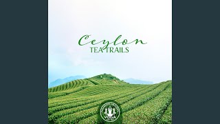 Yoga Dining - Spiritual Music Collection