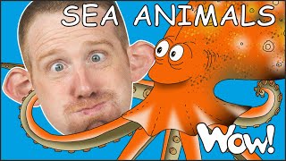 What Is It? (Sea Animal Mix) - Steve and Maggie