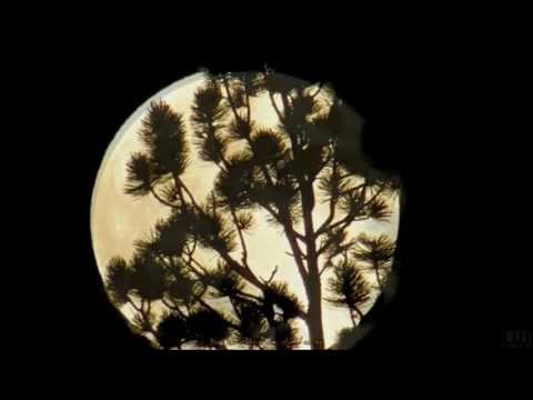 Gregory Alan Isakov - That Moon Song
