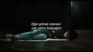 Alec Benjamin & Alessia Cara - Let Me Down Slowly (T&uuml;rk&ccedil;e &Ccedil;eviri) // Beautiful Boy