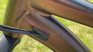Giant Futuro Cs Zilver Dames Hammink Fietsplezier – Otosection