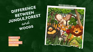 Difference between Jungle,Forest and Woods | kids learning video | kids educational video