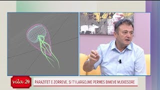 Ylli Merja: Parazit&euml;t n&euml; zorr&euml;, p&euml;rb&euml;r&euml;si q&euml; i largon brenda jav&euml;s