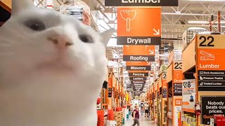 dads as soon as they step in home depot
