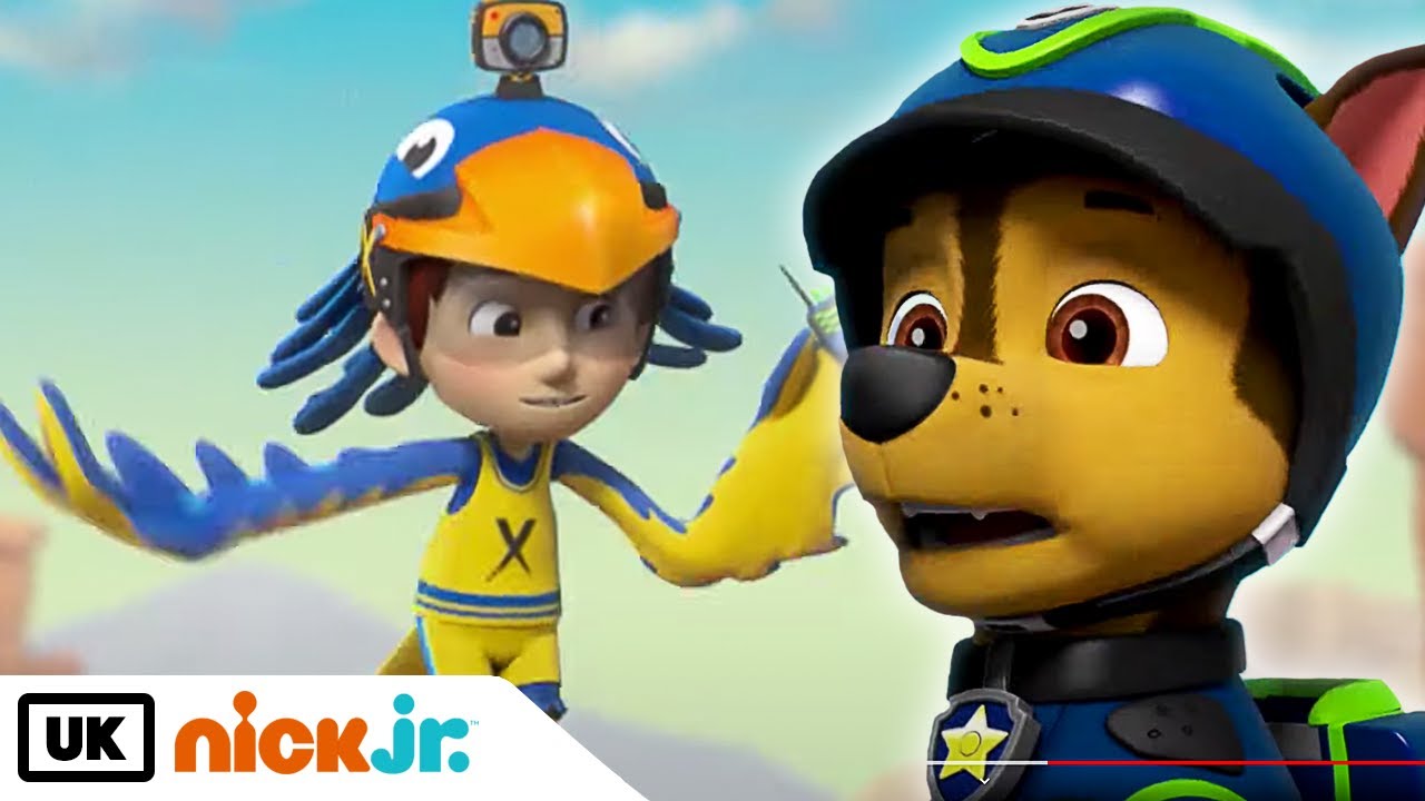Paw Patrol Pups Save A Mascot 🦅 Nick Jr 
