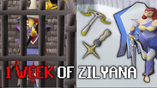 I locked myself at Commander Zilyana for a WEEK (#23)