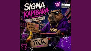 Sigma kapibara zniknęła w markecie - K15IEL