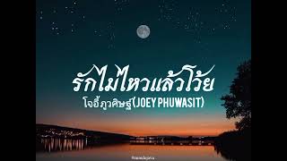 รักไม่ไหวแล้วโว้ย - โจอี้ ภูวศิษฐ์ (Joey Phuwasit |เนื้อเพลง