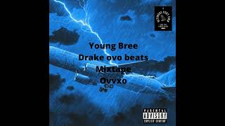 Really with the Shit - Yung Bree