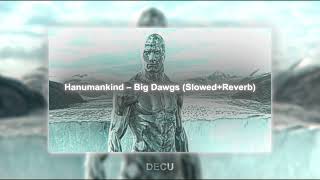 Hanumankind &ndash; Big Dawgs (slowed+reverb to perfection) TikTok Version