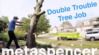 Double Trouble Tree Job - Solo Removal