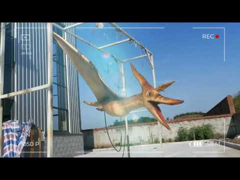 Life Size Flying Pterodactyl