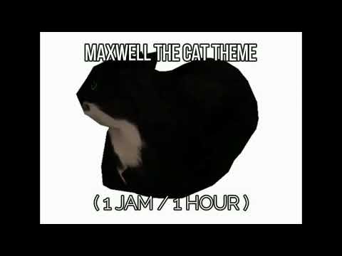 MAXWELL THE CAT THEME ( 1 JAM / 1 HOUR )